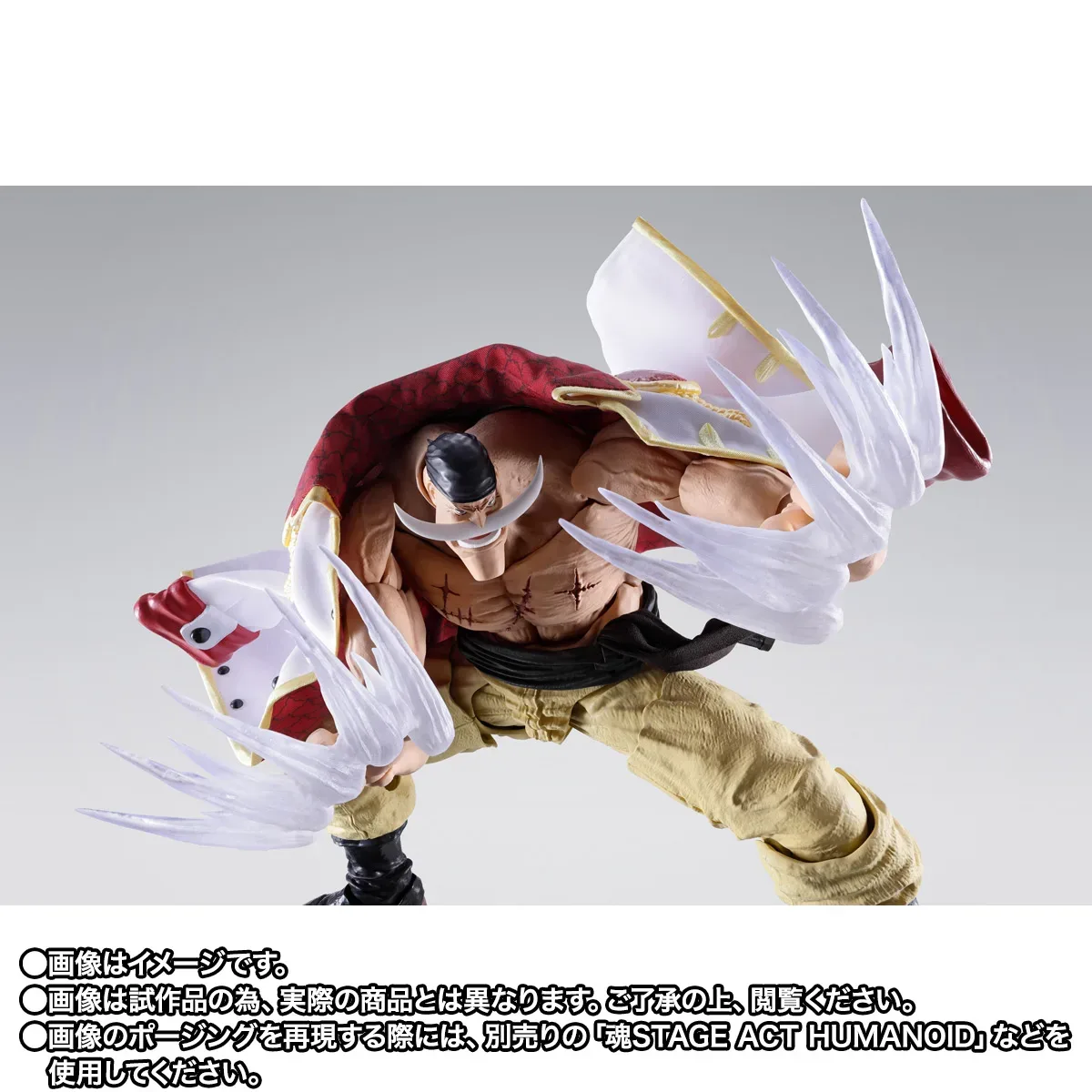 S.H.Figuarts《航海王》艾德華·紐蓋特(白鬍子)頂點之戰版強勢出擊 24.5公分魄力巨軀搭配布製大衣與震震果實特效手首 細節特寫