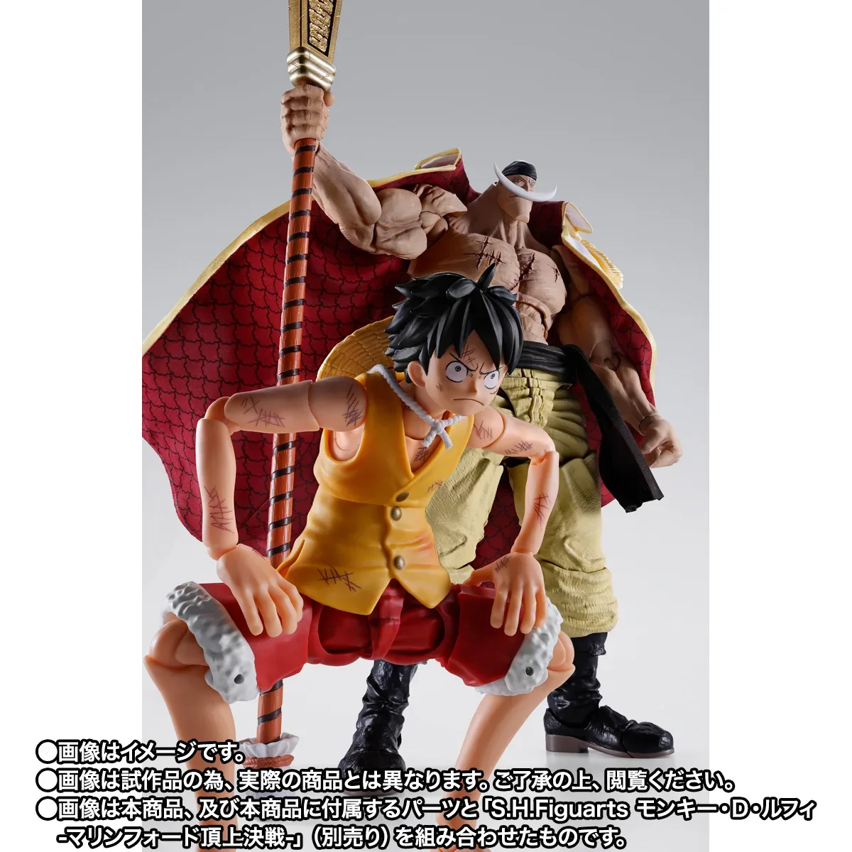 S.H.Figuarts《航海王》艾德華·紐蓋特(白鬍子)頂點之戰版強勢出擊 24.5公分魄力巨軀搭配布製大衣與震震果實特效手首 細節特寫